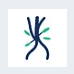 icon 3 headaches migraines