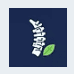icon 2 back pain relief